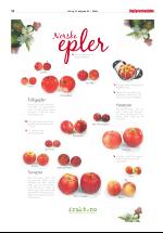 dagligvarehandelen_bilag-20081009_000_00_00_016.pdf