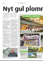 dagligvarehandelen_bilag-20090825_000_00_00_012.pdf