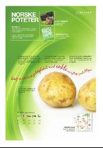 dagligvarehandelen_bilag-20091006_000_00_00_005.pdf