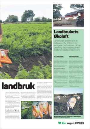 dagligvarehandelen_bilag-20180828_000_00_00_009.pdf