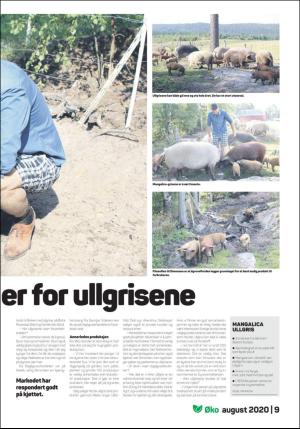 dagligvarehandelen_oko-20200825_000_00_00_009.pdf