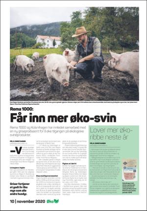 dagligvarehandelen_oko-20201110_000_00_00_010.pdf