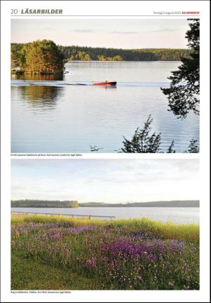 dalademokraten-20200813_000_00_00_020.pdf