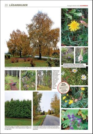 dalademokraten-20201015_000_00_00_020.pdf