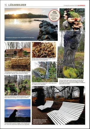 dalademokraten-20201118_000_00_00_016.pdf