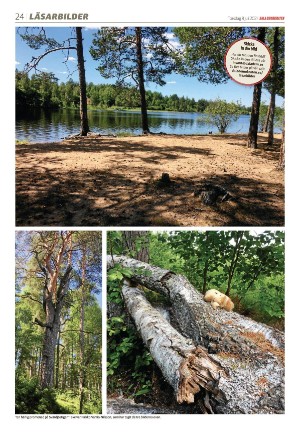 dalademokraten-20210708_000_00_00_024.pdf