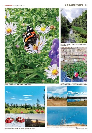 dalademokraten-20210819_000_00_00_019.pdf