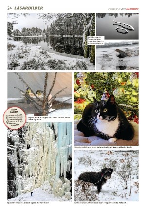 dalademokraten-20220105_000_00_00_024.pdf