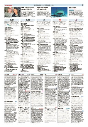 dalademokraten_bilaga-20211118_000_00_00_007.pdf