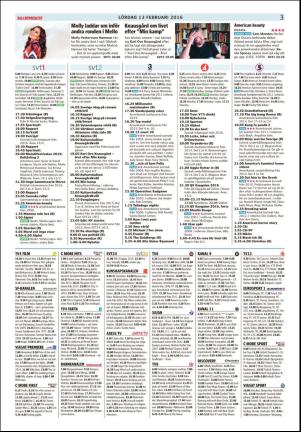 dalademokraten_tv-20160211_000_00_00_003.pdf