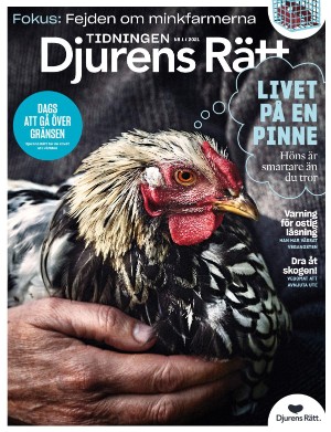 Djurens Rätt 2021/1 (2021-03-05)