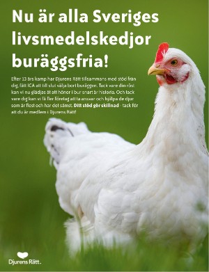 djurensratt-20210615_001_00_00_019.pdf