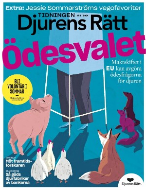Djurens Rätt 2024/1 (2024-03-06)