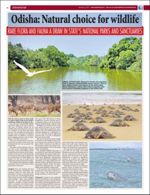 easterneye-20170107_000_00_00_020.pdf