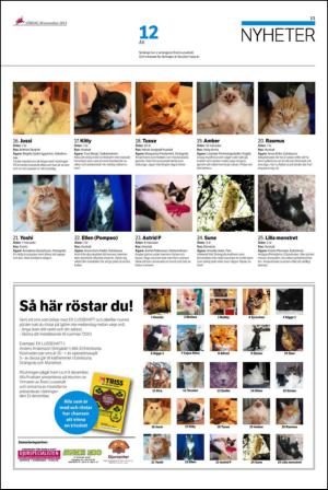 ekuriren-20131130_000_00_00_013.pdf