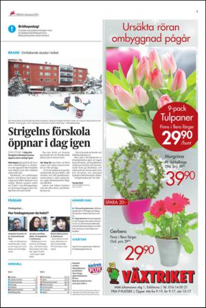 ekuriren_fl-20130118_000_00_00_003.pdf