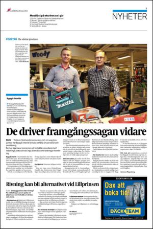 ekuriren_fl-20130330_000_00_00_005.pdf