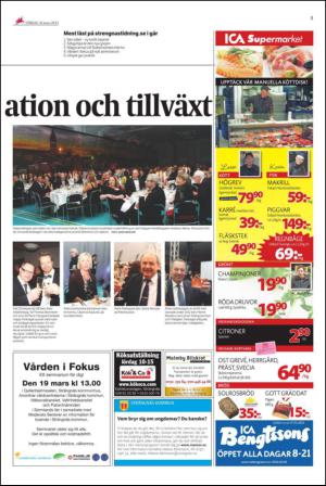 ekuriren_st-20130316_000_00_00_005.pdf