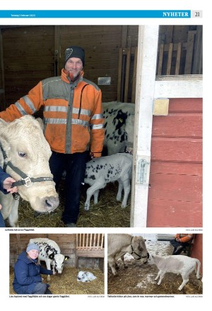 eskilstunakuriren-20230202_000_00_00_021.pdf