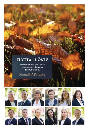 eskilstunakuriren_b-20210828_000_00_00_018.pdf