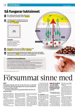 eskilstunakuriren_b-20210831_000_00_00_008.pdf