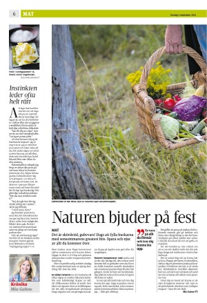 eskilstunakuriren_b-20210902_000_00_00_006.pdf