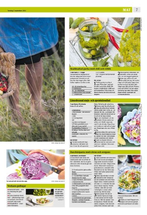eskilstunakuriren_b-20210902_000_00_00_007.pdf