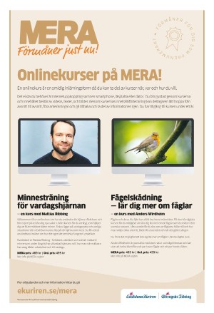eskilstunakuriren_b-20220520_000_00_00_019.pdf