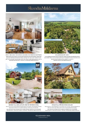 eskilstunakuriren_b-20221015_000_00_00_021.pdf