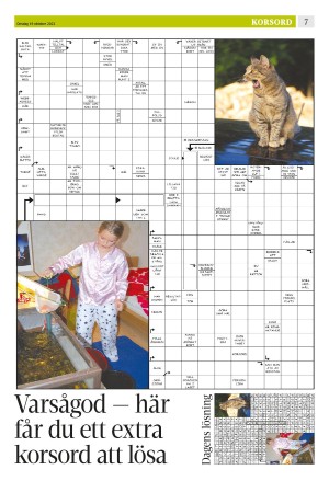 eskilstunakuriren_b-20221019_000_00_00_007.pdf