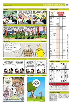 eskilstunakuriren_b-20230201_000_00_00_013.pdf