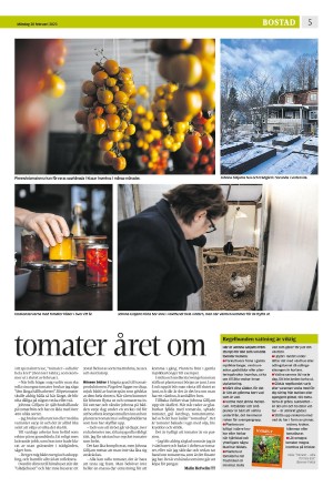 eskilstunakuriren_b-20230220_000_00_00_005.pdf