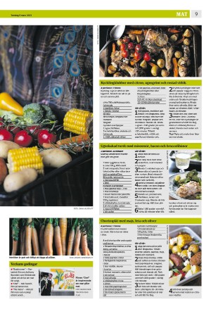 eskilstunakuriren_b-20230309_000_00_00_009.pdf