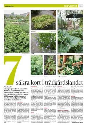 eskilstunakuriren_b-20230420_000_00_00_005.pdf