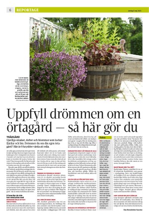 eskilstunakuriren_b-20230506_000_00_00_006.pdf