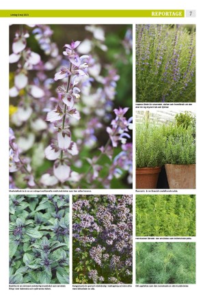 eskilstunakuriren_b-20230506_000_00_00_007.pdf