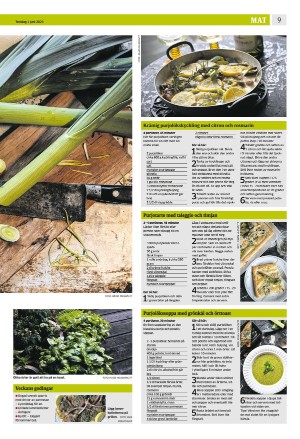 eskilstunakuriren_b-20230601_000_00_00_009.pdf