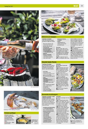 eskilstunakuriren_b-20230608_000_00_00_009.pdf