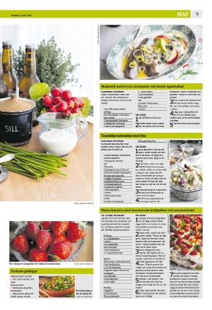 eskilstunakuriren_b-20230615_000_00_00_009.pdf