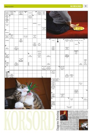 eskilstunakuriren_b-20230616_000_00_00_009.pdf