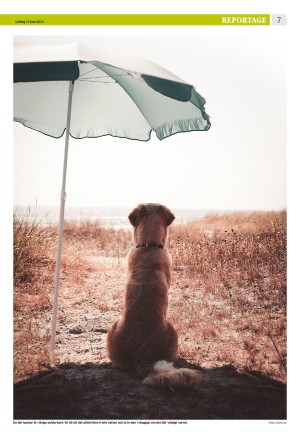 eskilstunakuriren_b-20230617_000_00_00_007.pdf