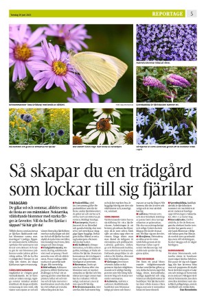 eskilstunakuriren_b-20230629_000_00_00_005.pdf