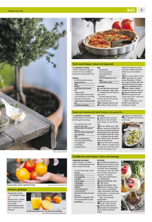 eskilstunakuriren_b-20230629_000_00_00_009.pdf