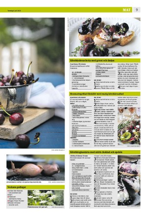 eskilstunakuriren_b-20230706_000_00_00_009.pdf