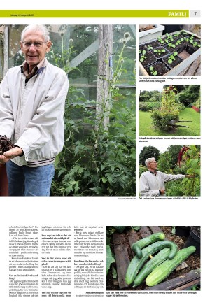 eskilstunakuriren_b-20230812_000_00_00_007.pdf