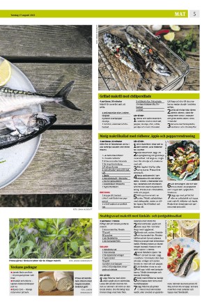 eskilstunakuriren_b-20230817_000_00_00_005.pdf