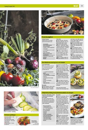 eskilstunakuriren_b-20230824_000_00_00_009.pdf