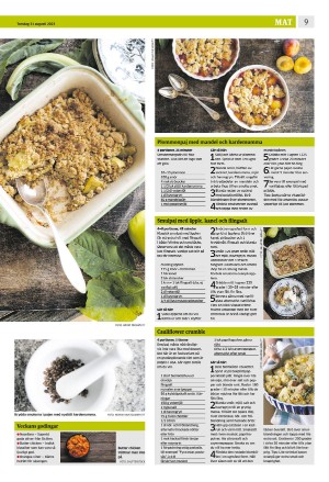 eskilstunakuriren_b-20230831_000_00_00_009.pdf