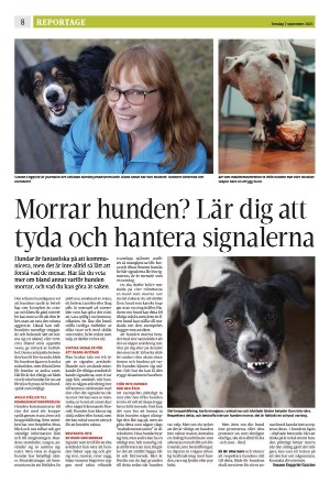 eskilstunakuriren_b-20230907_000_00_00_008.pdf