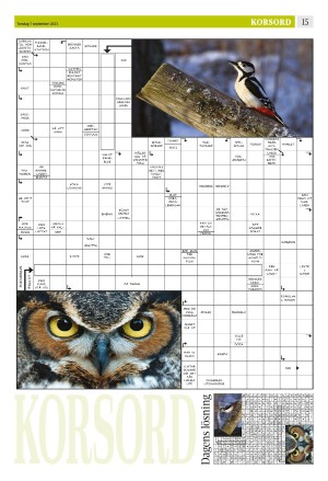 eskilstunakuriren_b-20230907_000_00_00_015.pdf